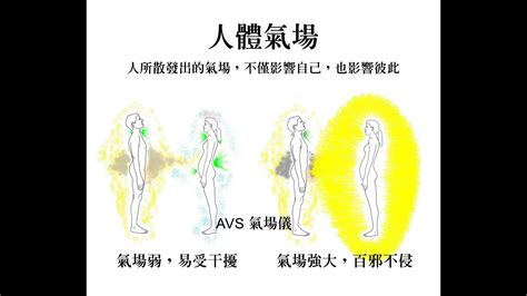 氣場儀原理|AVS氣場儀設計原理